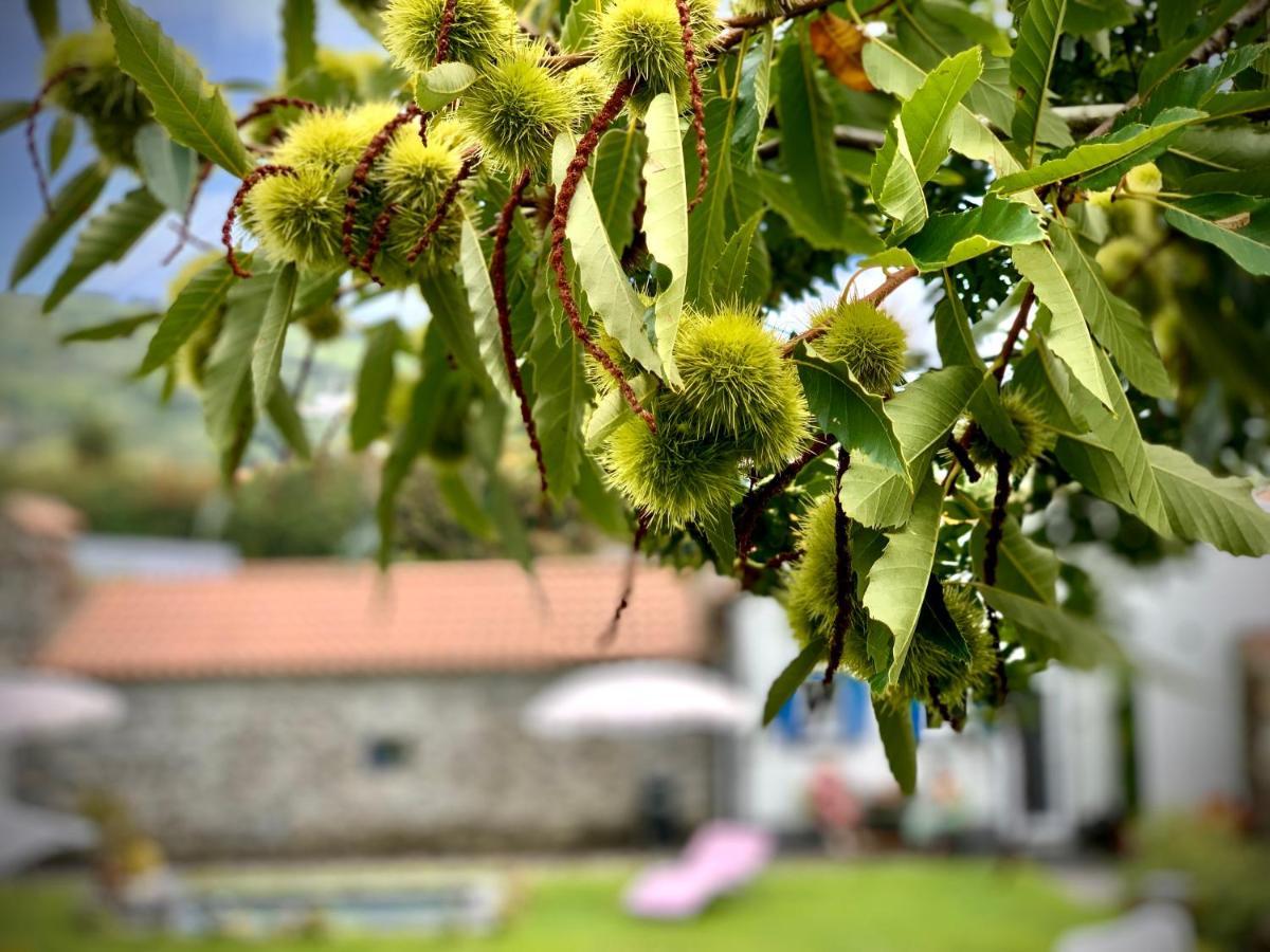 Casa Do Priolo - Villaverde Azores Feteiras Kültér fotó