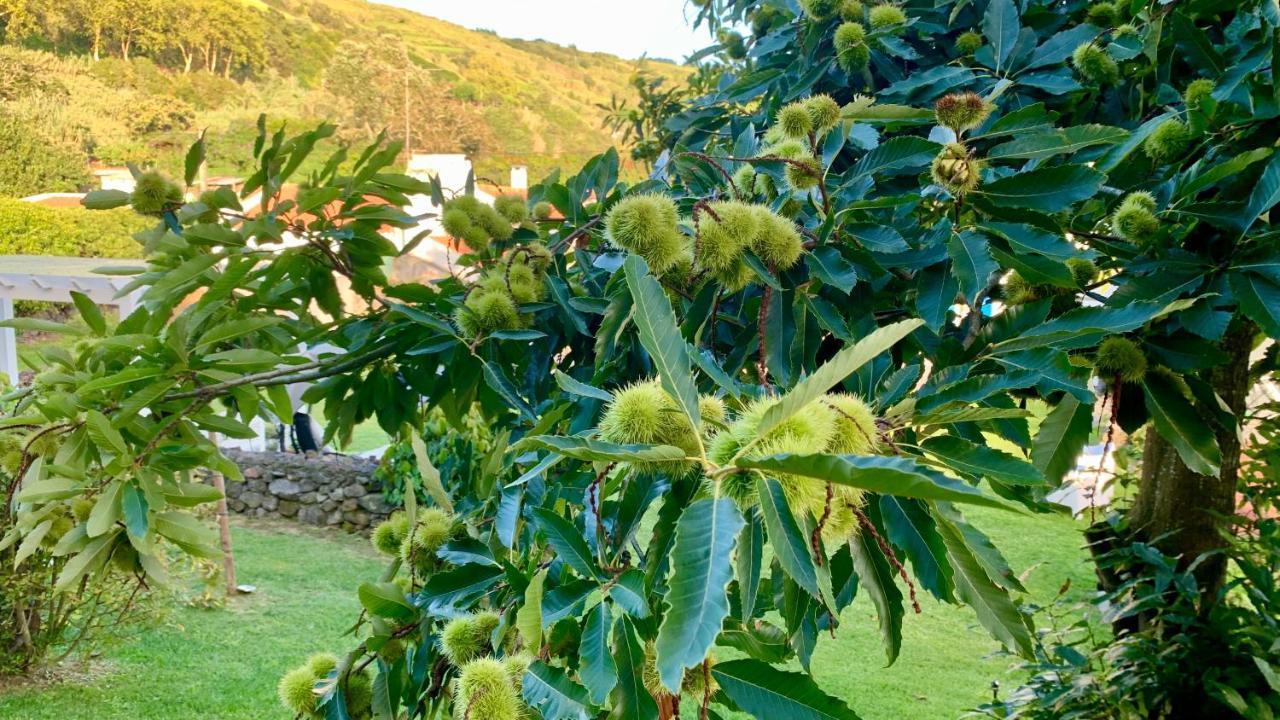 Casa Do Priolo - Villaverde Azores Feteiras Kültér fotó